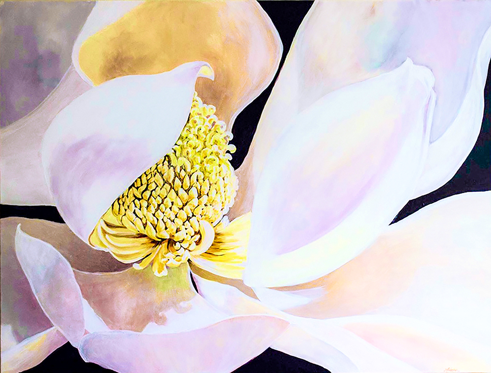 Image Related to the Content on this Web Page